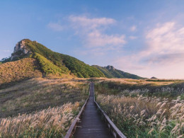 황매산 미리내파크