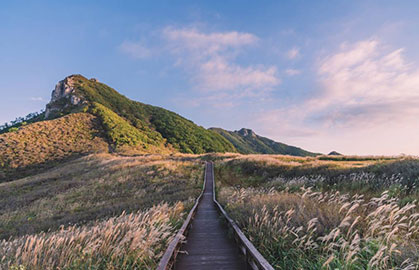 황매산 철쭉